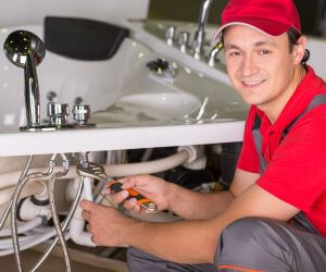 About Plumbers Pros Shepherd, MI